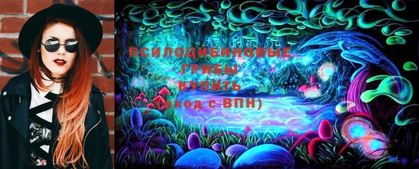 спиды Алзамай