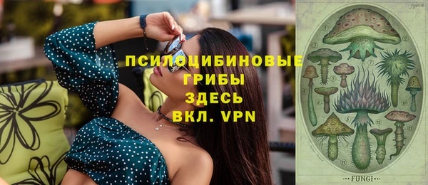 спиды Алзамай