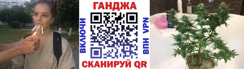 OMG ссылки  Приморск  МАРИХУАНА Amnesia  где продают  